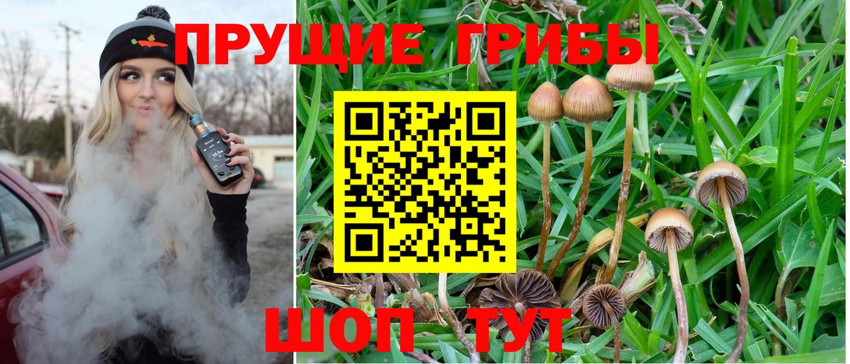 где продают наркотики  Псилоцибиновые грибы Cubensis  Вход с VPN  Галлюциногенные грибы Magic Shrooms  Биробиджан 
